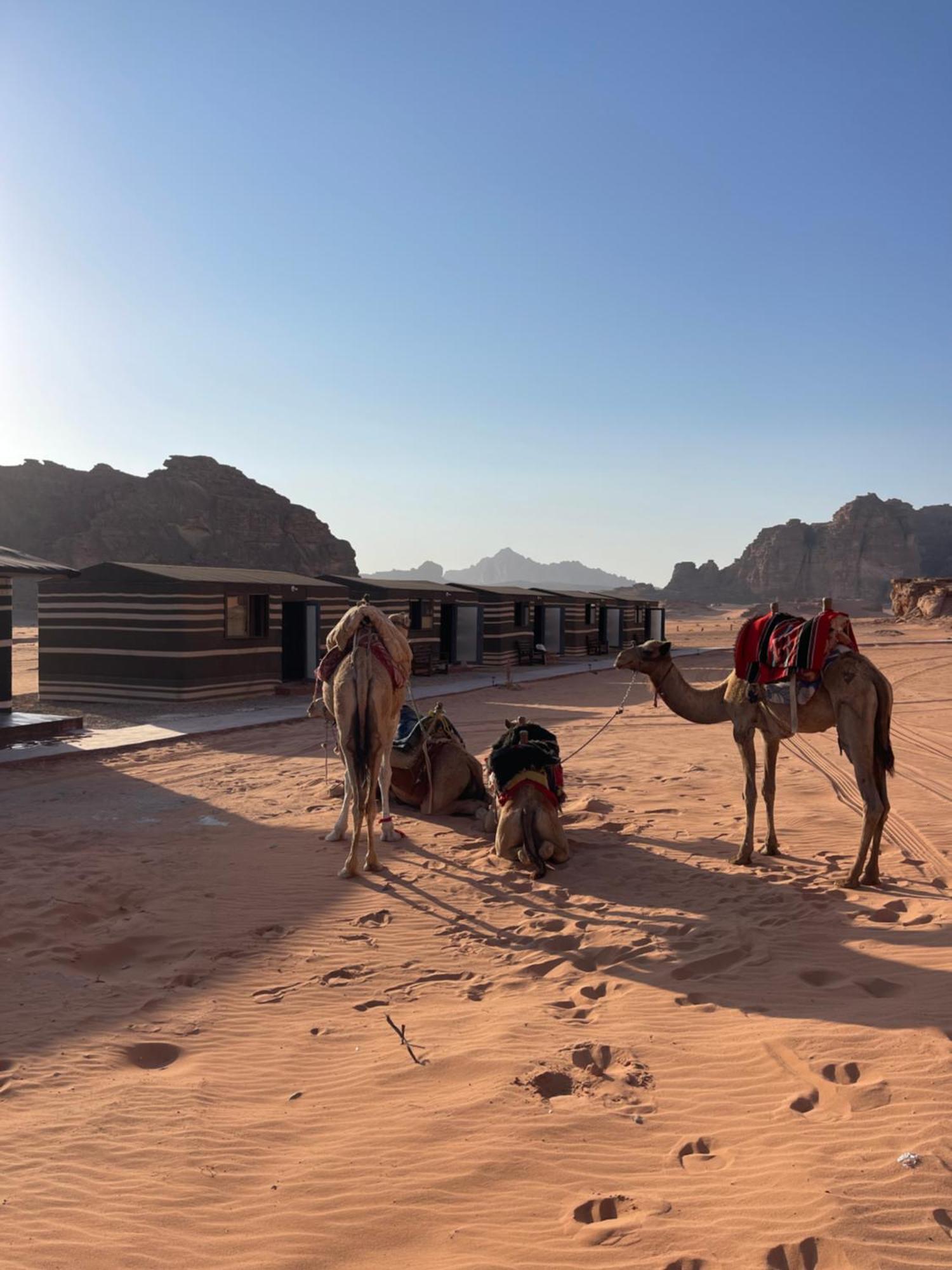 Wadi Rum Star Camp Экстерьер фото